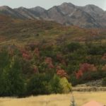 the-cottages-at-hobble-creek-autumn-leaves