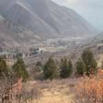 the-cottages-at-hobble-creek-fall-colors