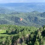 the-cottages-at-hobble-creek-lush-foliage