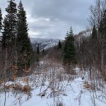 the-cottages-at-hobble-creek-winter-mountains