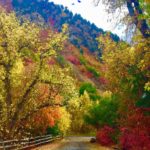 Fall Splendor Hobble Creek Canyon Utah